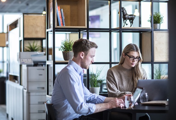 A man and woman sat in office working, printers, plants in the background